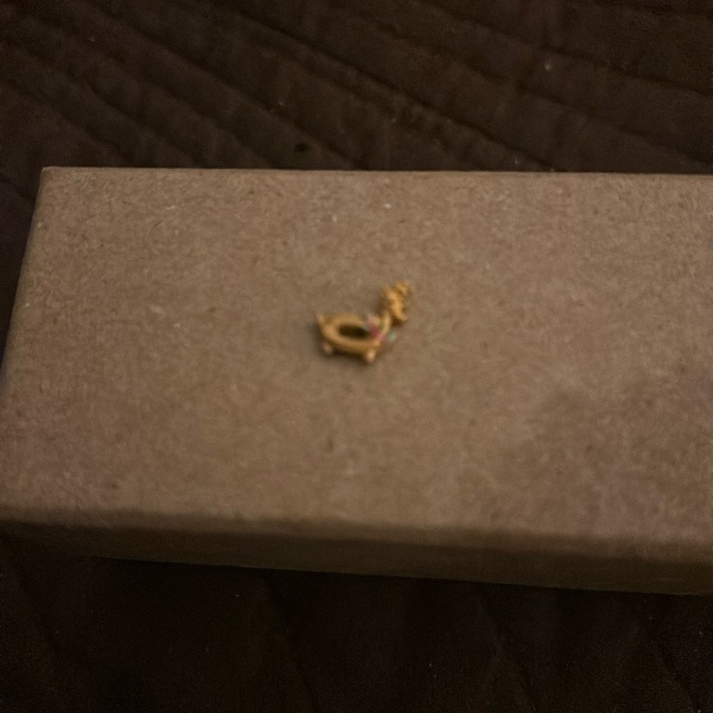 Reindeer pool floatie charm